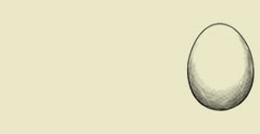 Gentle Egg