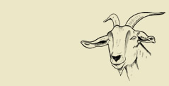 Gentle Goat