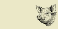 Gentle Iberico